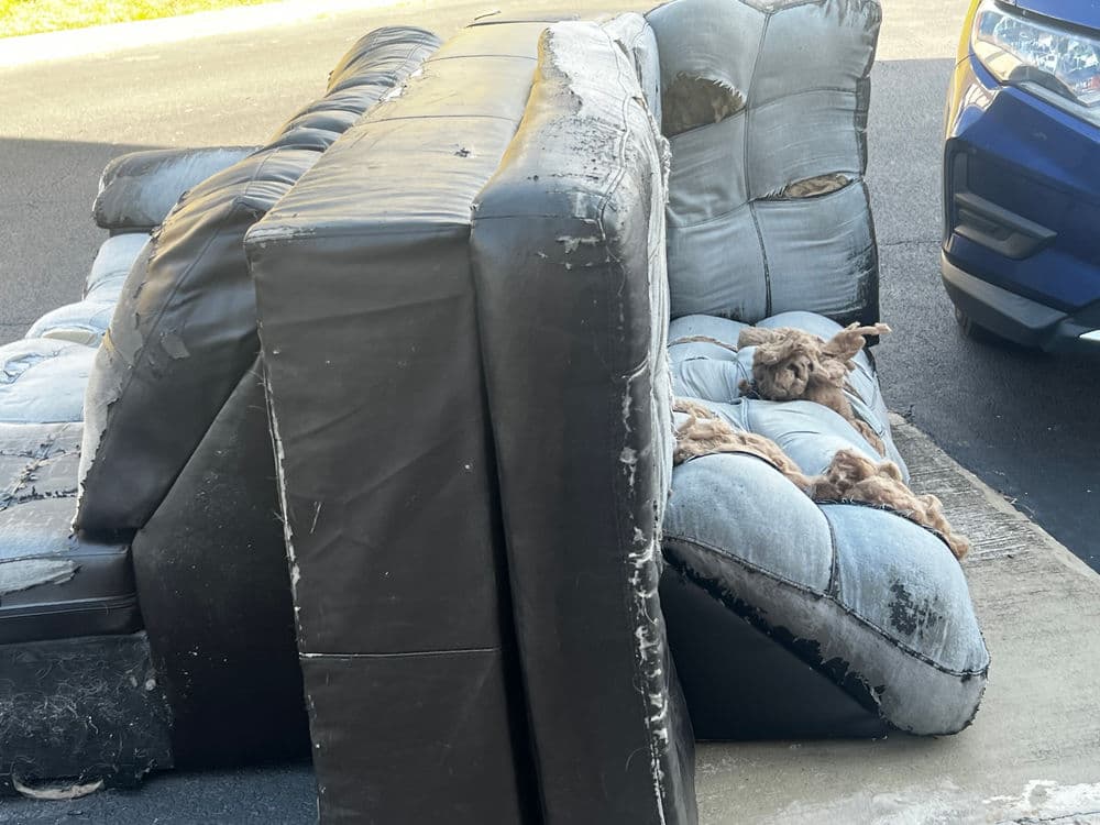 Renovation Debris Removal image